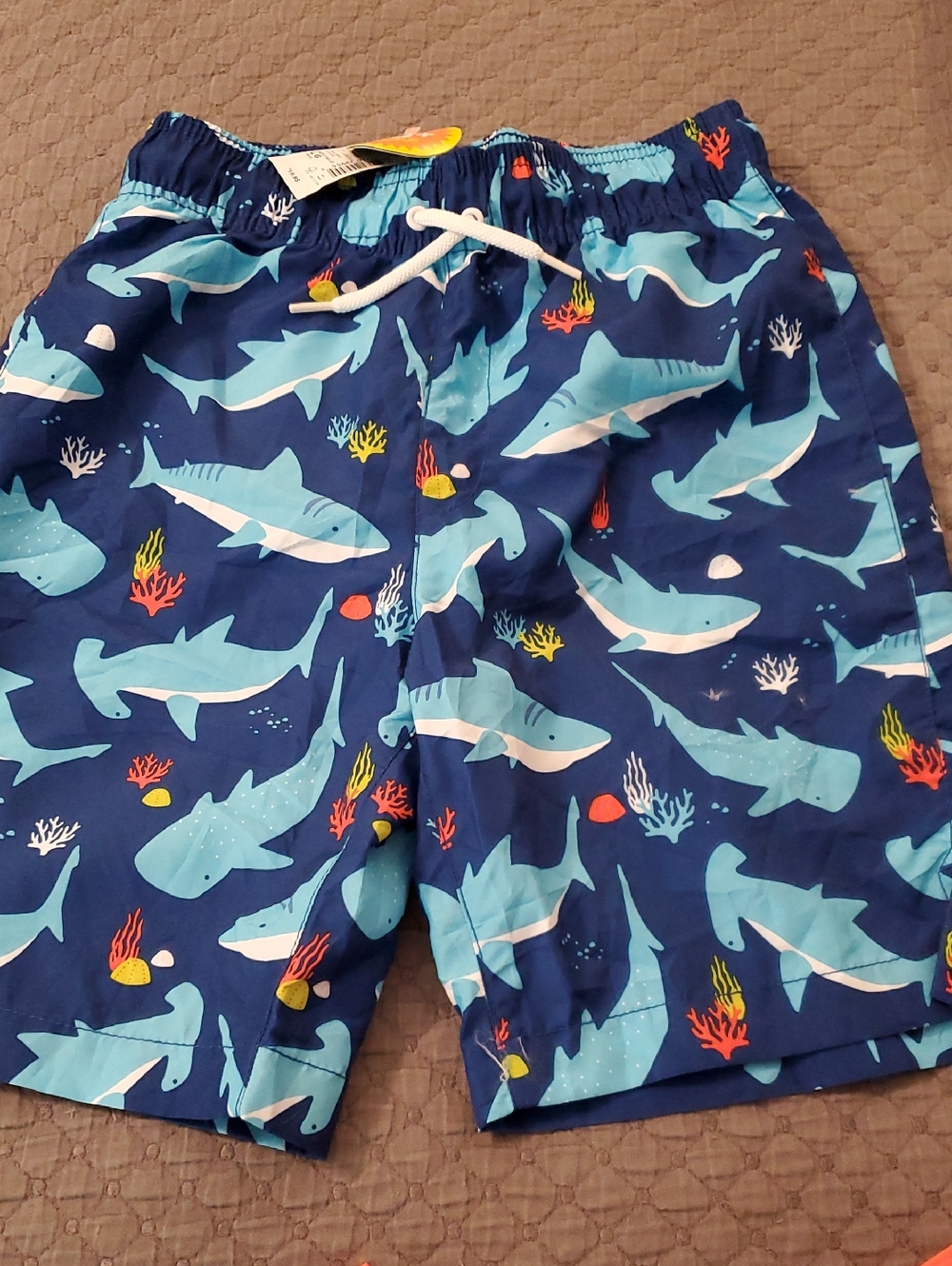 Boys Trunks And Rash Guard - Picture 4 of 4